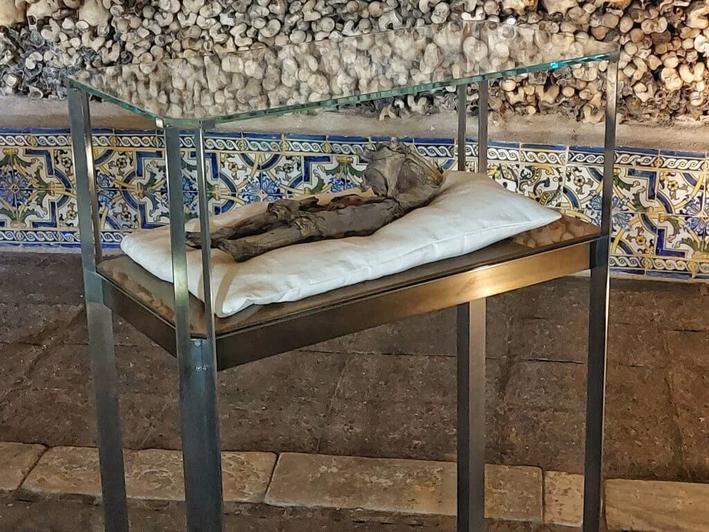 Capela dos Ossos - Mummie
