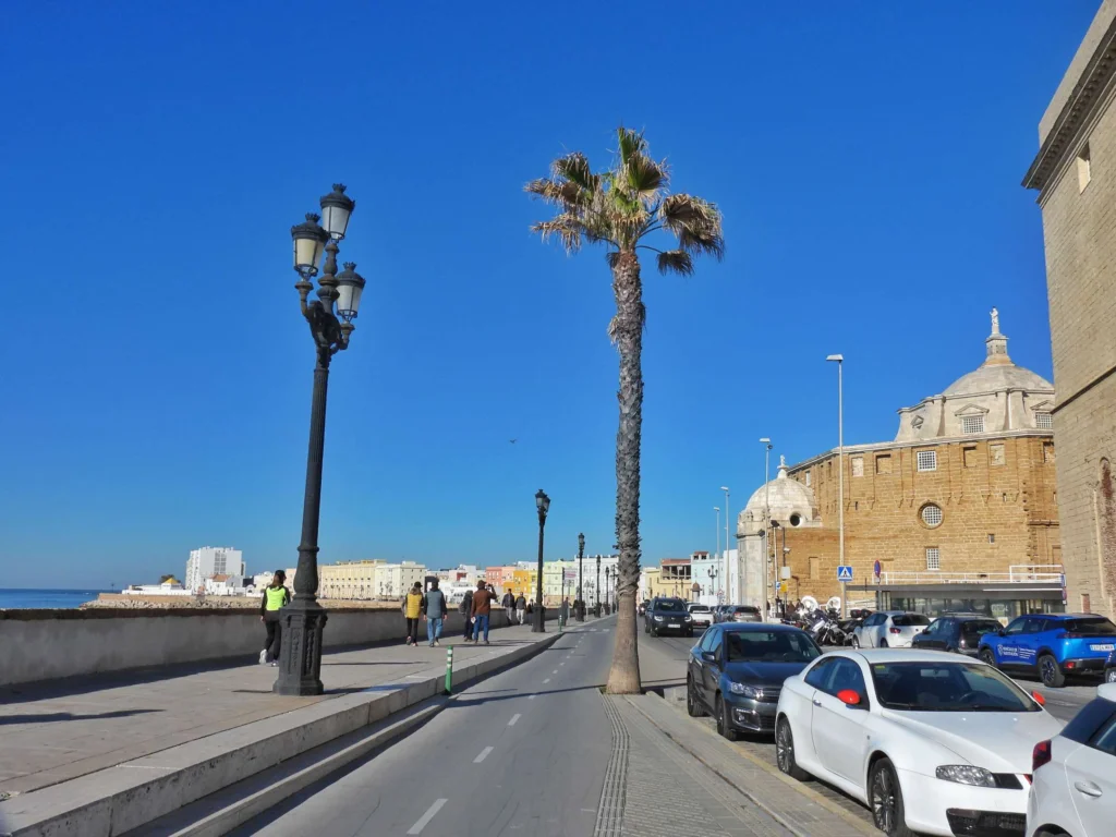 Cádiz, Campo del Sur