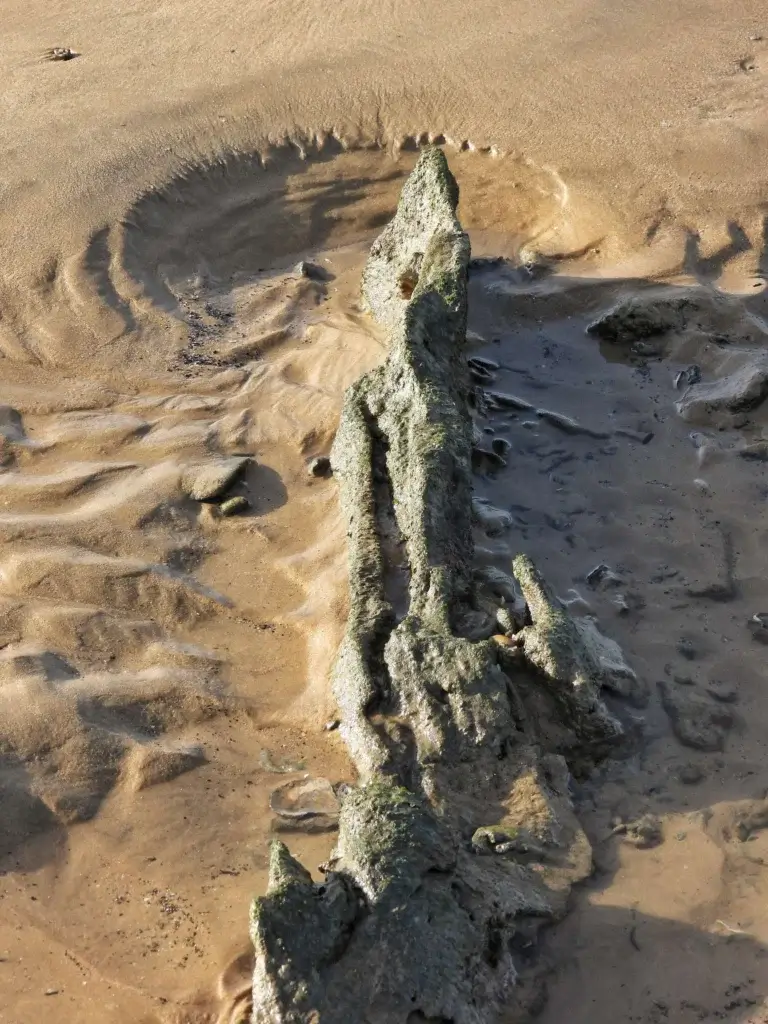 Playa de la Jara