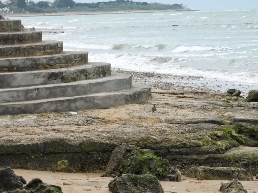 Playa de la Jara